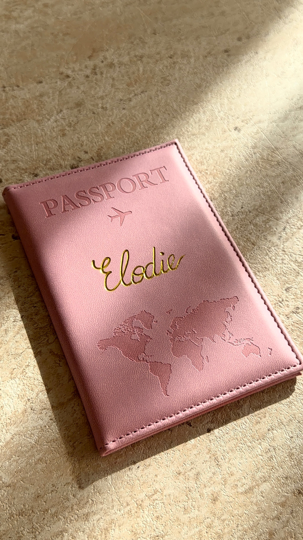 Porte-passeport mappemonde