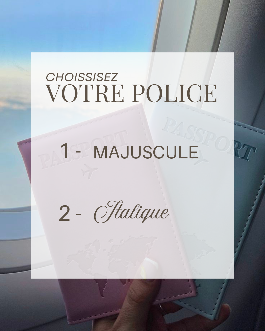 Porte-passeport mappemonde